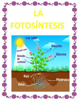 La Fotosíntesis