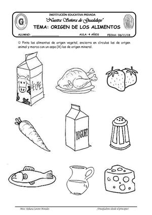 Alimentos 1