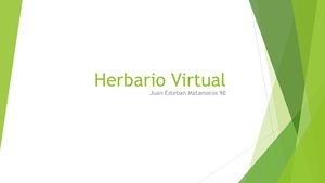 Herbario Virtual