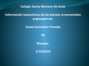 Plantas Ornamentales Taxonomia