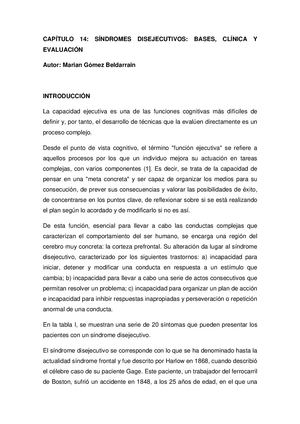 14 Disejecutivos (1)