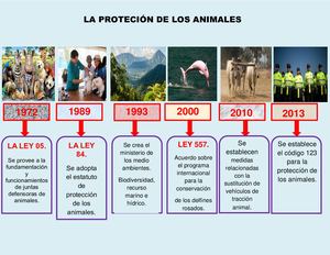 Linea Del Tiempo
