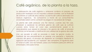 Proceso del café artesanal en fotos