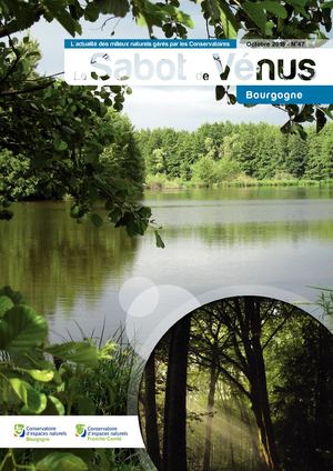 Sabot de Vénus 47 en Bourgogne