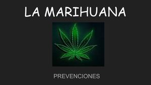 La Marihuana