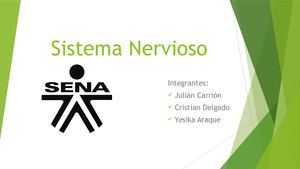 Sistema Nervioso Ppt Profe Forero