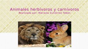 Animales Herbívoros Y Carnívoros