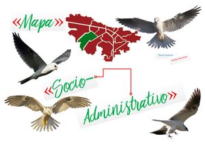 Cartografia Social Localidad De Engativa.