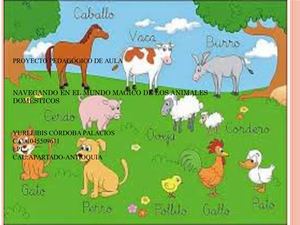 Navegando en el Maravilloso Mundo de los Animales Domésticos