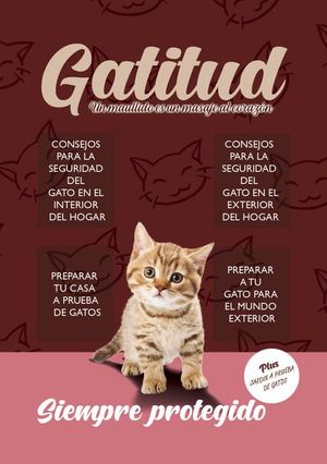 Revista Gatitud