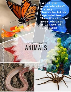 Invertebrates Animals