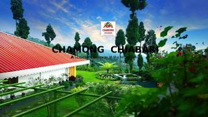 Enjoy Your Trips In The Queen Of Hills By Booking Your Rooms At Chamong Chiabari!!