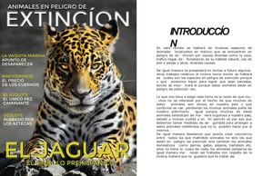 animales en peligro de extinción