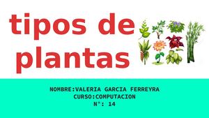 Presentacion Tipos De Plantas