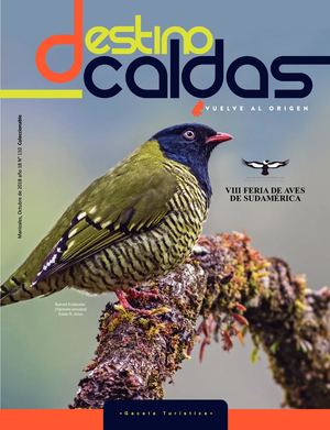 Destino Caldas 110