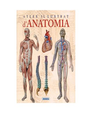 ANATOMÍA
