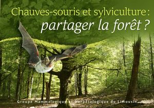 Chauve Souris Foret Red