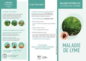 Maladie De Lyme Depliant Gp 072016