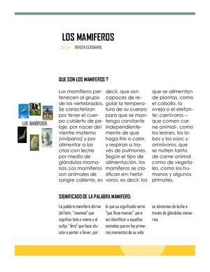 Los Mamiferos Sofia Paz