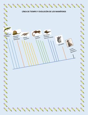 Línea De Tiempo Y Evolución De Los Mamíferos