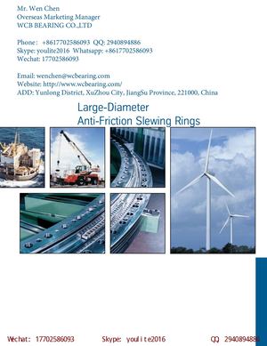 Wcb Four Point Contact Ball Bearing China