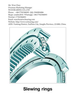 Wcb Light Turn Table Bearing China
