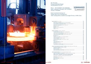 Wcb Single Row Slewing Bearing Ring China