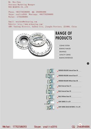 Wcb Slewing Ring China
