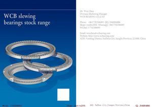 Wcb Swing Gear Bearing Ring China