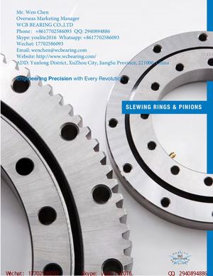 Wcb Swing Gear China