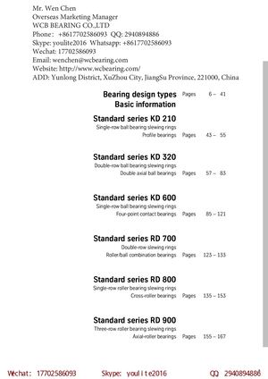 Wcb Turntable Bearing China