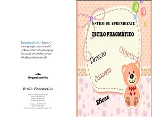 Estilo De Aprendizaje Pragmático