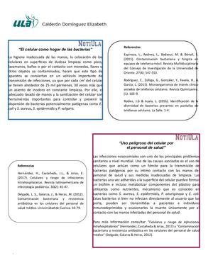 Bacterias presentes en los celulares