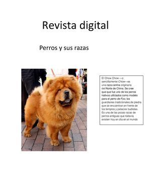 Revista Perros Y Sus Razas