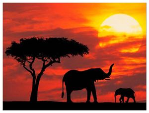 Descolonización de África