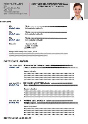 28 Hoja De Vida Organizada Gris