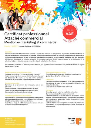 Certificat professionnel Attaché commercial mention e-marketing et commerce
