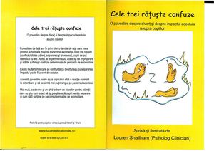 247293415 Cele 3 Ratuste Confuze