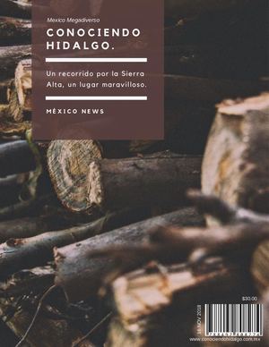 Revista Conociendo Hidalgo (2 0