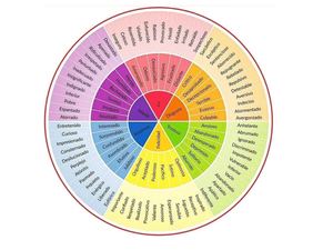 Ruleta De Las Emociones