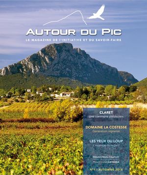 Autour Du Pic N°1