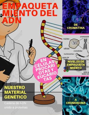 Empaquetamiento Del Adn Is