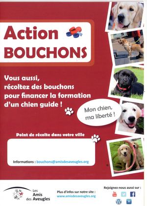 Action Bouchons