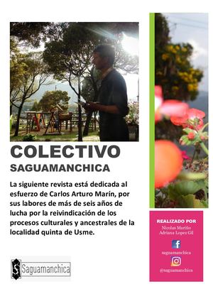 Colectivo Saguamanchica
