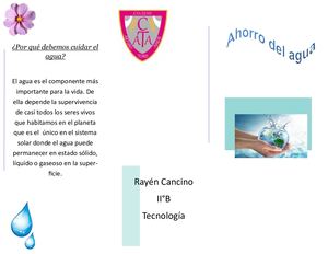 Triptico Rayen