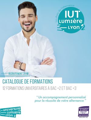 Catalogue Formations 2019 - IUT Lumière