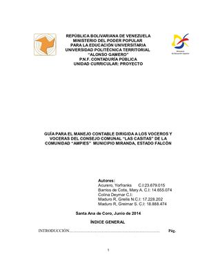 254486813 Guia De Contabilidad De Consejos Comunales