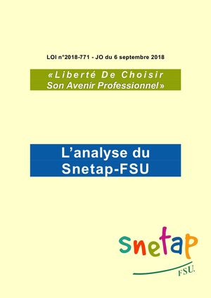 Loi Apprentissage Analyse Snetap Fsu