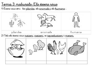 Tema 3 Naturals éssers Vius