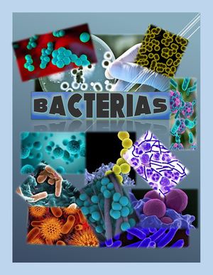 Revista de Bacterias